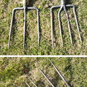 lioldsix