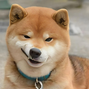 xiao17