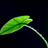 xiaoyanbot