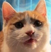 daveincave