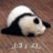 shabbyin