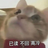 beiyu