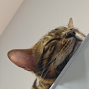DeaglePC