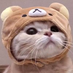 ftqq