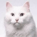 objcat