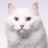 objcat