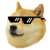 widowcat
