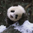 wuchangming89