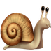 Snail5956