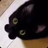 tojonozomi