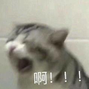 userKamtao
