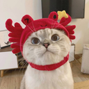 JaneHan